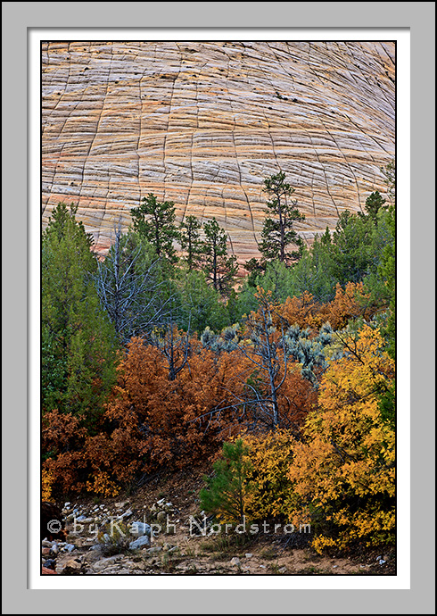 Checkerboard Mesa