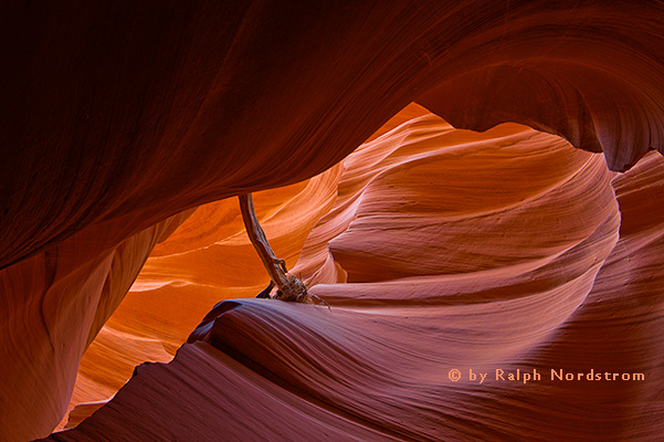 Lower Antelope Canyon 1, Arizona