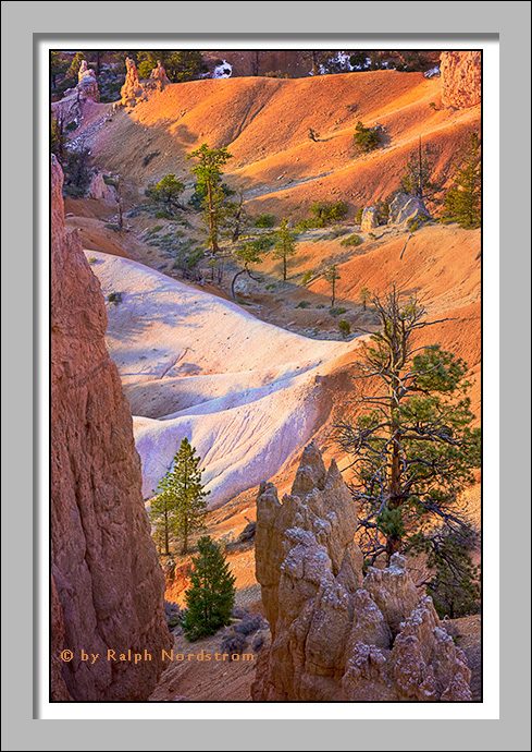 Queens Garden Trail, Bryce Canyon National Park, Utah