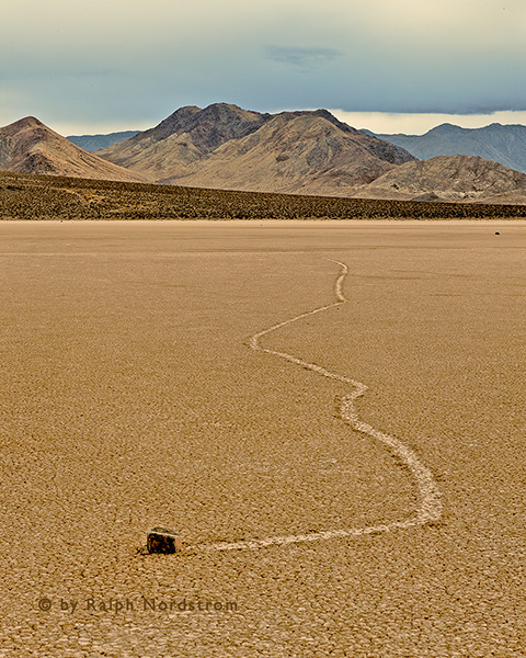 The Wanderer, Death Valley National Park, California