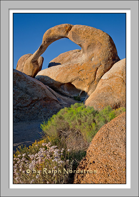 Mobius Arch, Alabama Hills, Eastern Sierra