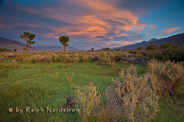 Owens Valley, Eastern Sierra, California