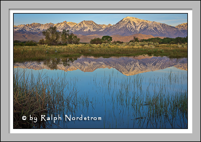 Farmer's Pond, Eastern Sierra