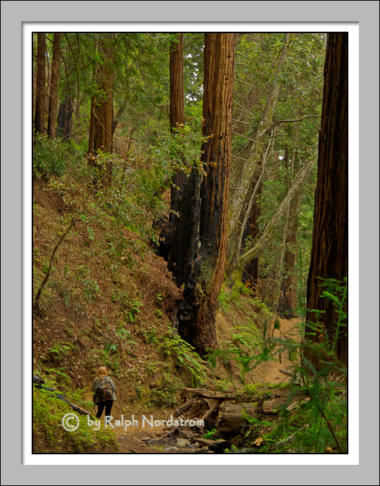 Photographing Big Sur