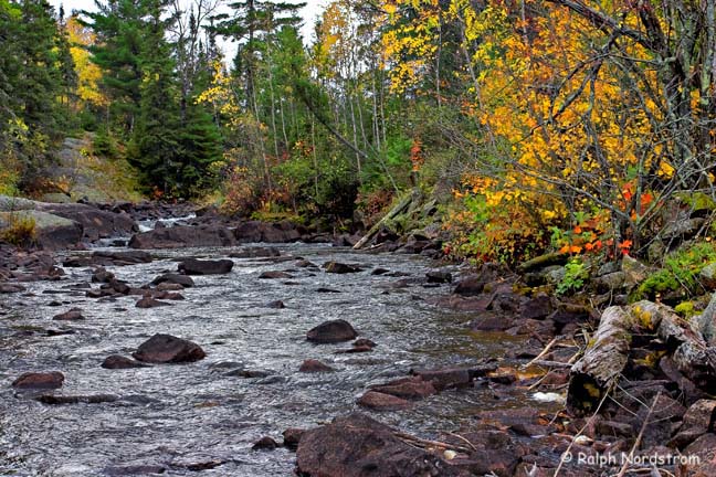 Boundary Waters Stream, Minnesota