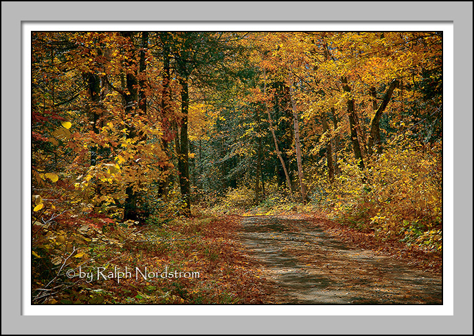 Into the Woods, Minnesota