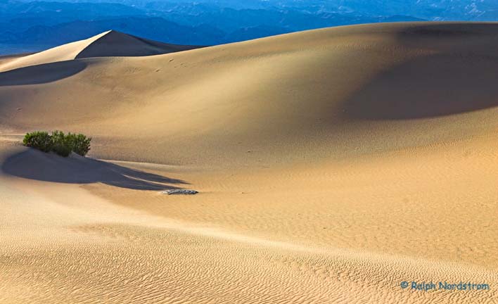 Death Valley Dunes